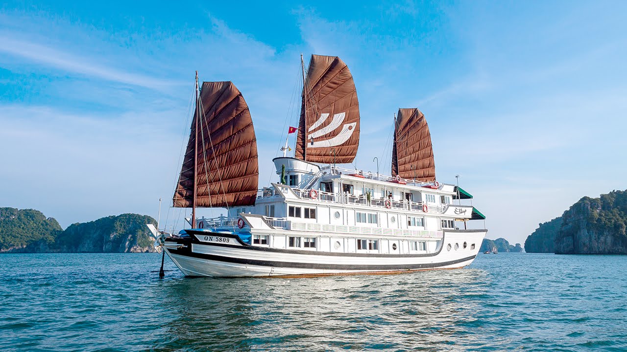 Bhaya Cruise